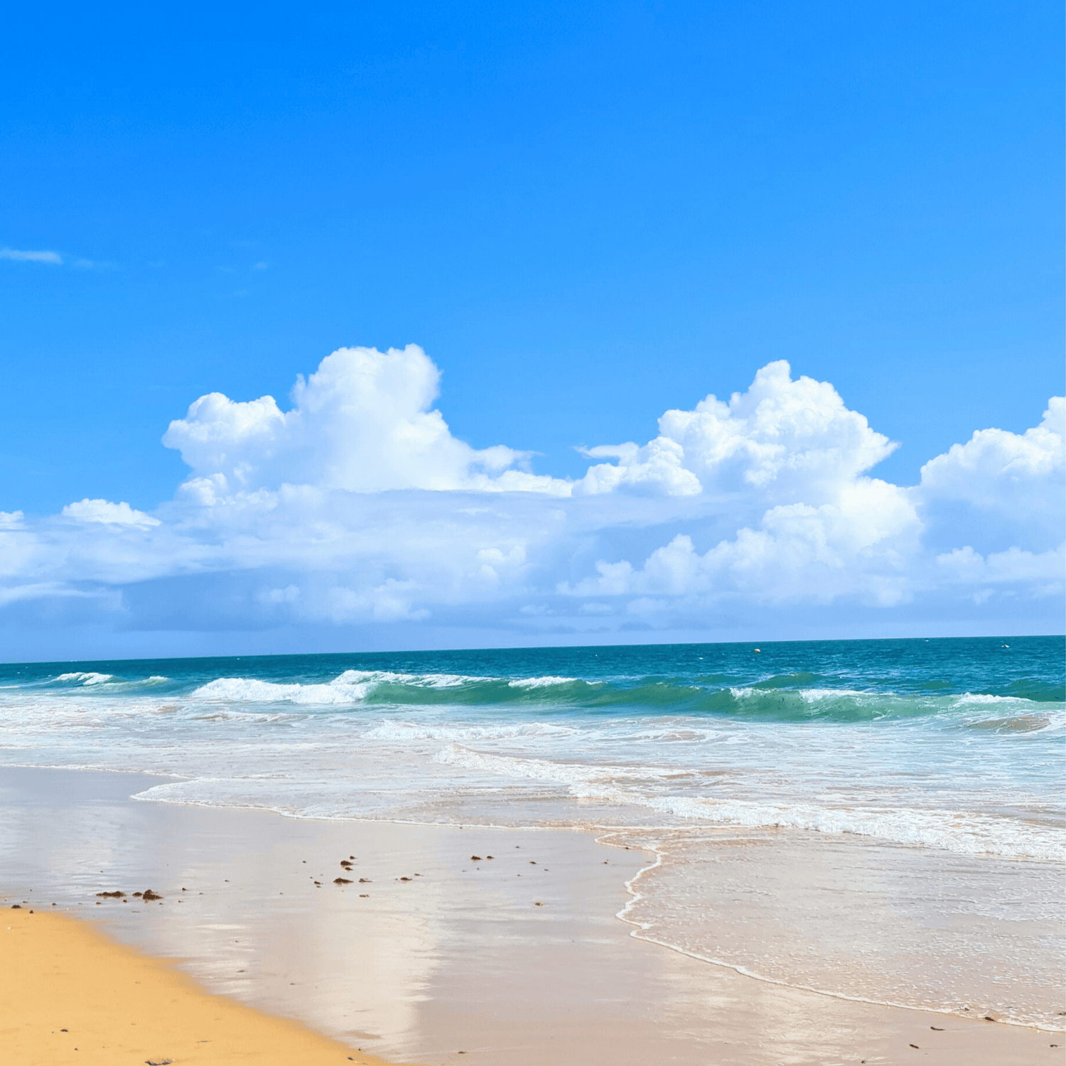A calming beach scene representing the inspiration behind rooziv natural stress-relief and sleep support mushroom and herbs gummies.